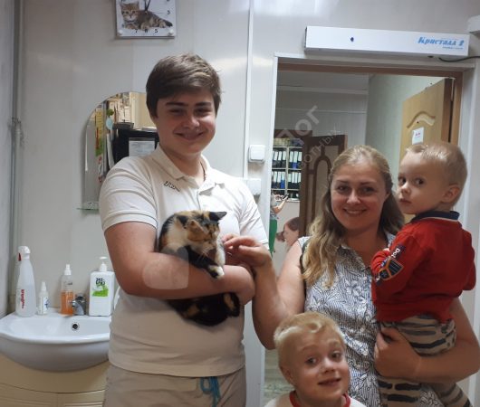 Холли
